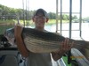 (08/13/2014) - Nice Striped Bass